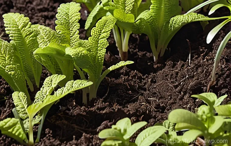 다년생 식용 정원에서의 생물 다양성 증진 방법 - **"Vibrant Living Soil: The Heart of a Forest Garden"**
    A close-up, ground-level shot of incredi...