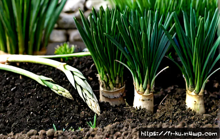Home 30 정원에서 다년생 식용 식물의 생리학적 이해 - Photorealistic French cottage garden in early spring, mature asparagus and artichoke plants emerging...
