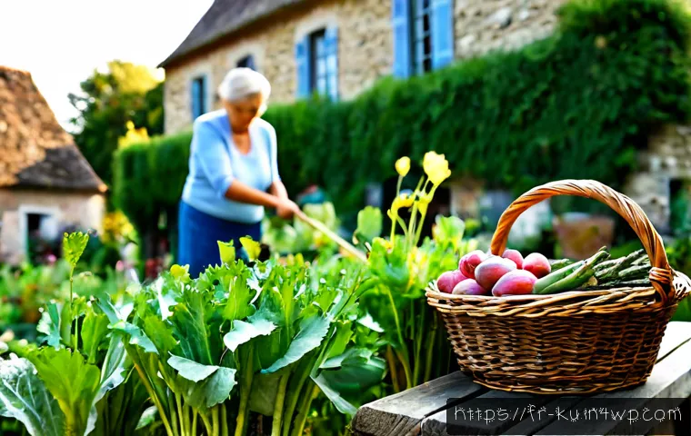 Home 17 다년생 식용 정원에서의 수확 및 활용 방법 - Photorealistic French cottage garden in late summer, an older gardener harvesting perennial edible p...